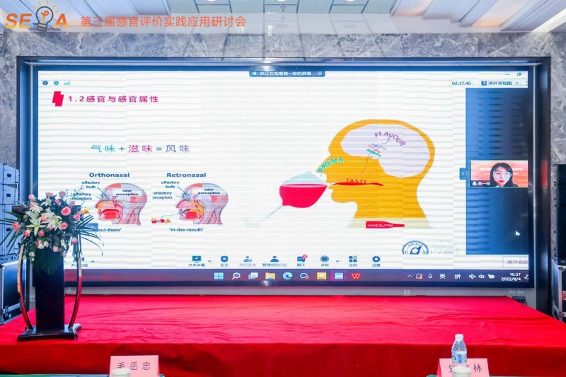 第三屆感官大會(huì)