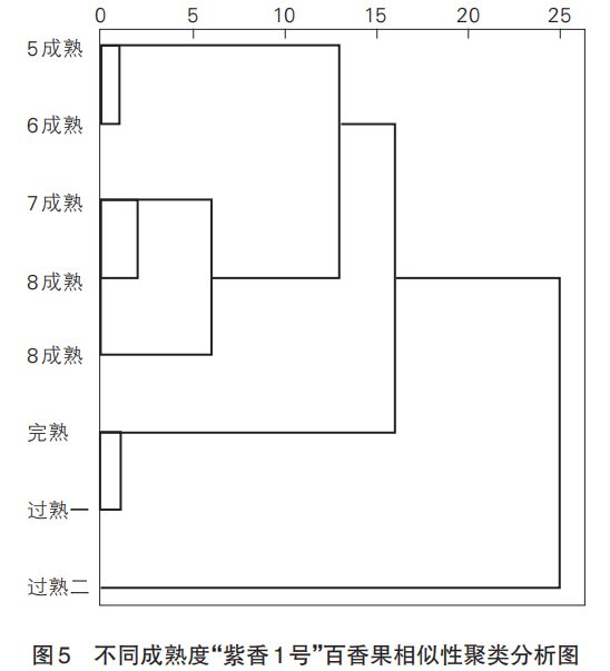 智能感官|基于電子舌和理化特征分析成熟度對百香果食用品質(zhì)的影響7