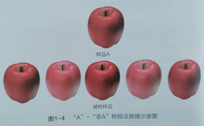 【“A”-非“A”檢驗法】教你如何正確進行科學的感官評價方法1