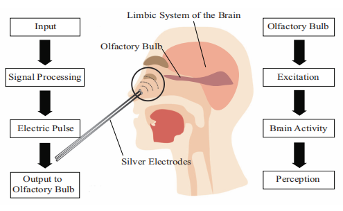 電嗅覺:電流復現人工嗅覺感知的邁進1
