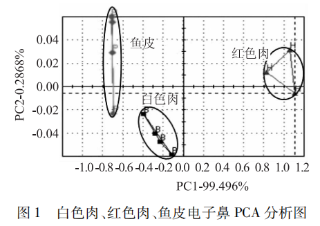 智能感官 基于電子鼻的鯽魚肉新鮮度研究1