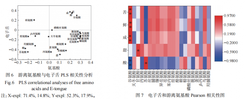 【智能感官】基于電子舌和電子鼻結(jié)合氨基酸分析魚香肉絲調(diào)料風(fēng)味的差異8