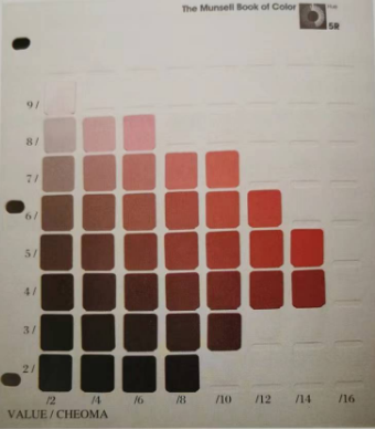 【感官技能】有技巧——感官評價的實(shí)用技能