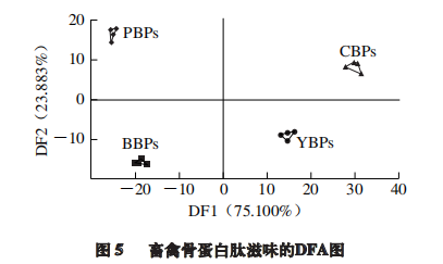 【智能感官】基于電子舌檢測快速判別不同物種畜禽骨蛋白肽9