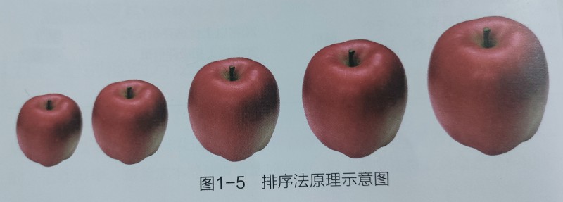 【排序法】教你如何正確進行科學的感官評價方法1