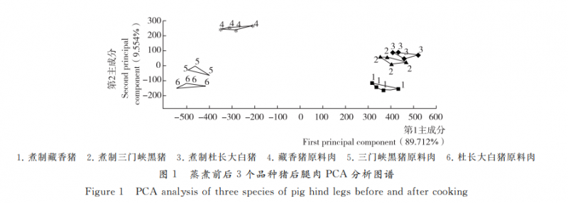 智能感官|基于電子舌和色譜技術分析蒸煮豬肉滋味物質
