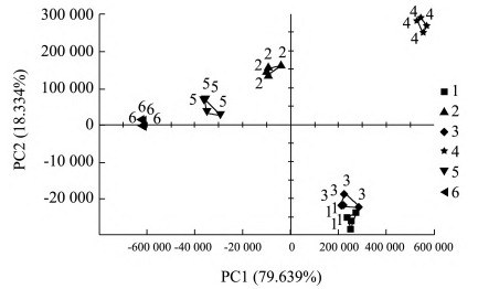 【智能感官】基于電子鼻和電子舌技術對不同金銀花酒的鑒別分析3