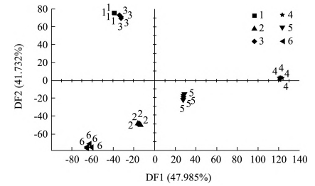 【智能感官】基于電子鼻和電子舌技術對不同金銀花酒的鑒別分析4