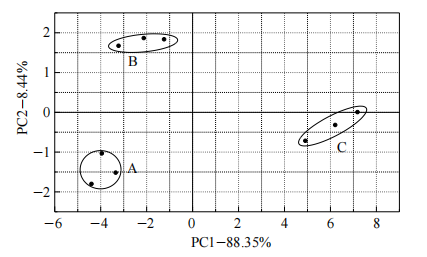 基于智能感官和 GC-MS評價花椒芽對香菇醬風味的影響6