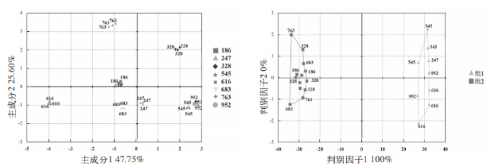 人工與智能儀器對不同番茄品種感官評價對比分析