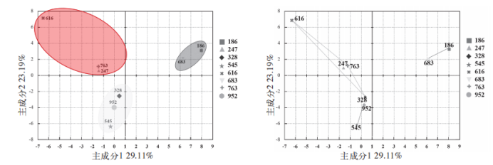 人工與智能儀器對不同番茄品種感官評價對比分析