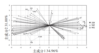 人工與智能儀器對不同番茄品種感官評價對比分析