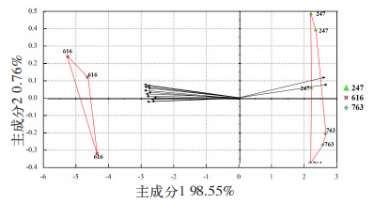 人工與智能儀器對不同番茄品種感官評價對比分析