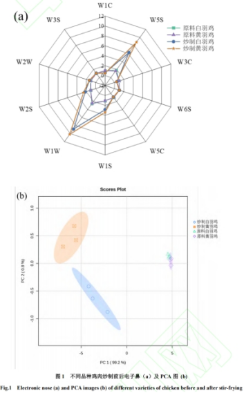 微信圖片_20250624170032